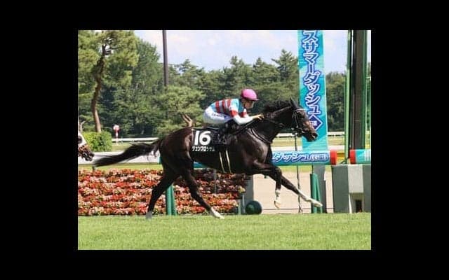 今年の神戸新聞杯は春のクラシック好走馬が不在。末脚秘める２頭の伏兵が「下剋上」を起こす