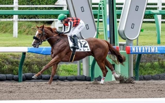 【中山3R新馬戦結果】トレドがレコードで逃げ切り6馬身差圧勝