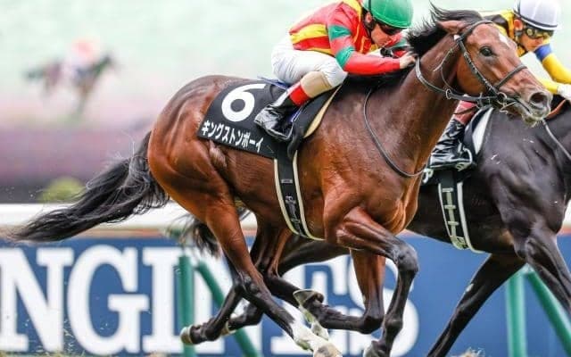 【次走】キングストンボーイはルメール騎手とのコンビで毎日王冠へ