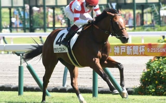 【中京5R新馬戦結果】オオバンブルマイが内を突いて抜け出す