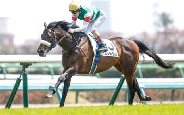 【神戸新聞杯前日オッズ】パラレルヴィジョンが3.4倍で1番人気