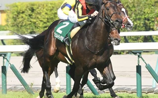 【オールカマー予想】実は左回り巧者!? 世代屈指の能力も鵜呑みにできない前走勝利