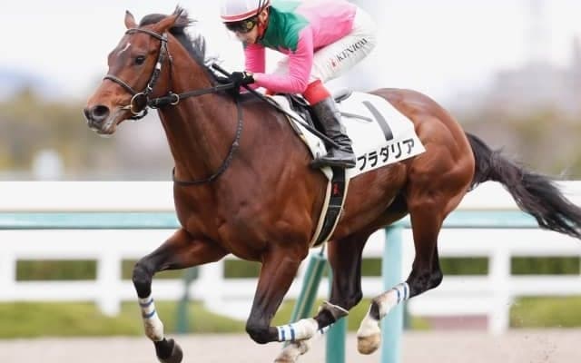 【今日の注目ポイント】中山でオールカマー、中京では神戸新聞杯