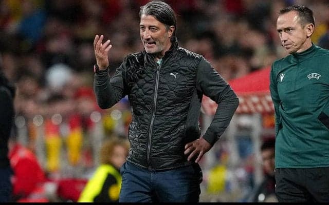 「選手たちを祝福」　スペイン撃破にスイス代表監督が歓喜