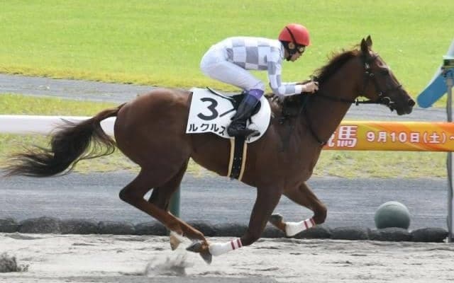 【中京4R新馬戦結果】武豊騎手騎乗ルクルスが3馬身差で快勝