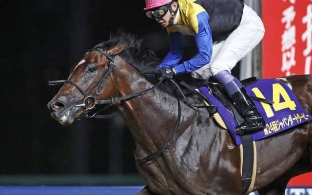 【船橋・日本テレビ盃枠順確定】ノットゥルノは3枠3番、サルサディオーネは5枠7番