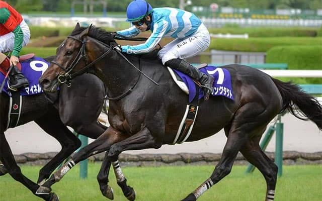 【オールカマー・馬体重】デアリングタクトは484kg(+4)、ソーヴァリアントは508kg(0)