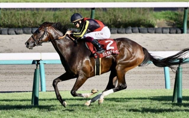 【オールカマー】ジェラルディーナが重賞初制覇！デアリングタクトは敗れる