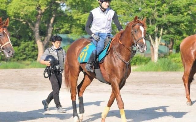 母は米G1勝ち馬、フェザーモチーフがデビュー/関東馬メイクデビュー情報