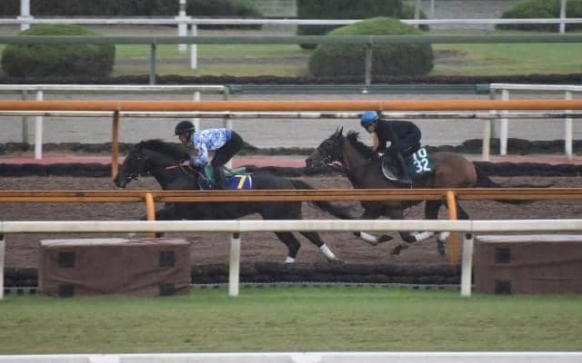 2億超の高額馬ダノンタッチダウンが始動 半兄はGI馬ダノンザキッド/関西馬メイクデビュー情報