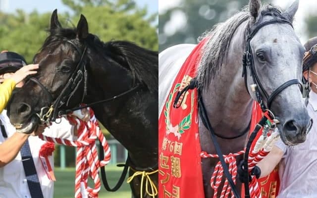 収得賞金1500万円でほぼ確定圏か 菊花賞の出走ボーダーライン