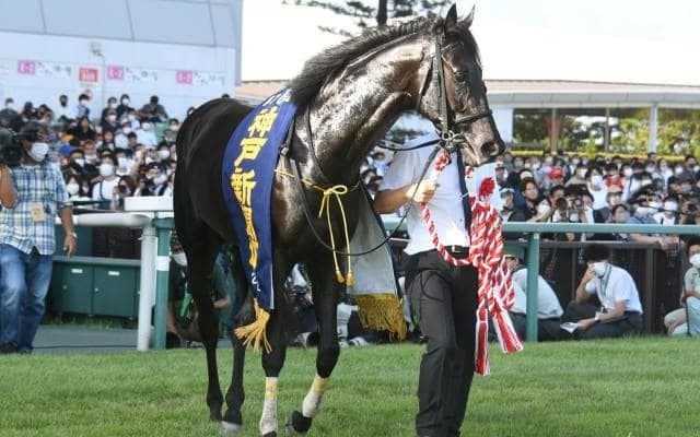 長距離で実績を残す血統 3馬身半差をつけジャスティンパレスが圧勝