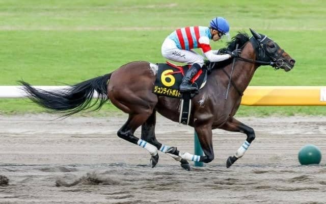 【シリウスS展望】混戦模様のハンデ戦、好走傾向に合うあの馬に期待したい