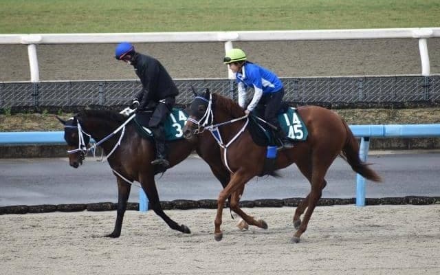 スマートアイなど、先週のゲート試験/栗東トレセンニュース