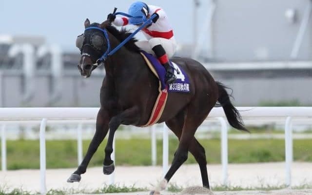 【名古屋・秋の鞍結果】高知のアンティキティラが押し切って重賞3勝目