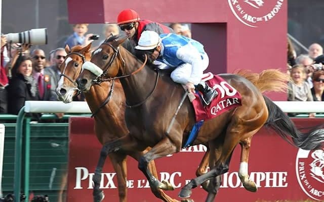 オルフェーヴルの凱旋門賞は「全てが早すぎた」スミヨン騎手が10年越しの告白