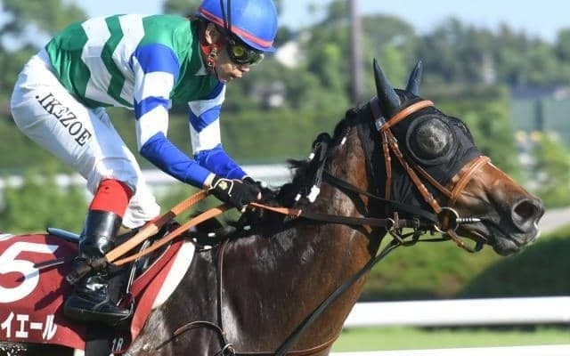 【スプリンターズS予想オッズ】メイケイエールが予想1番人気