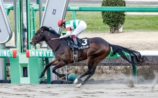 【シリウスS予想オッズ】バーデンヴァイラーが予想1番人気