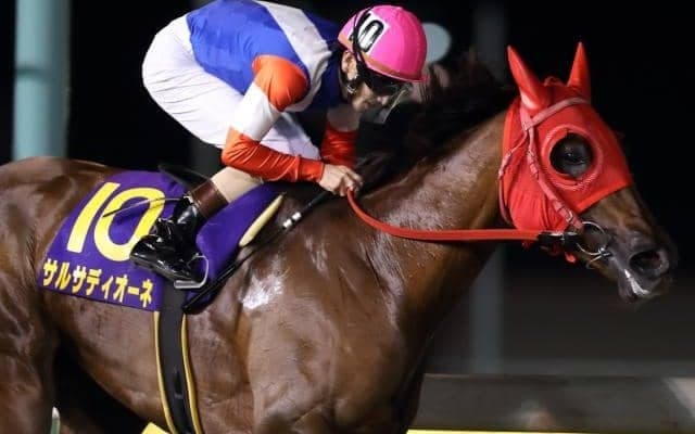 【日本テレビ盃注目馬】9頭の重賞勝ち馬が豪華共演　JBCクラシックへの切符を掴むのは