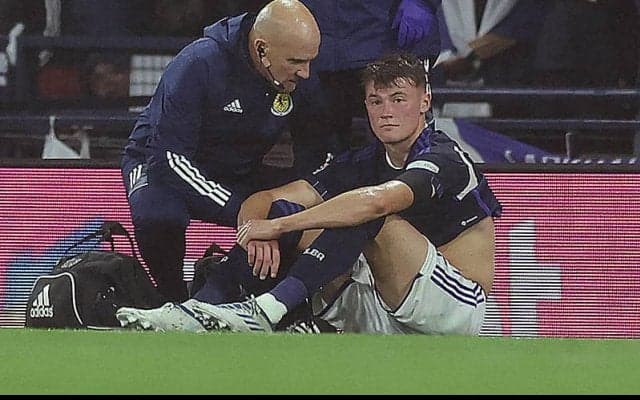 エバートンに痛手…代表戦で負傷のパターソンが最低4週間アウトに
