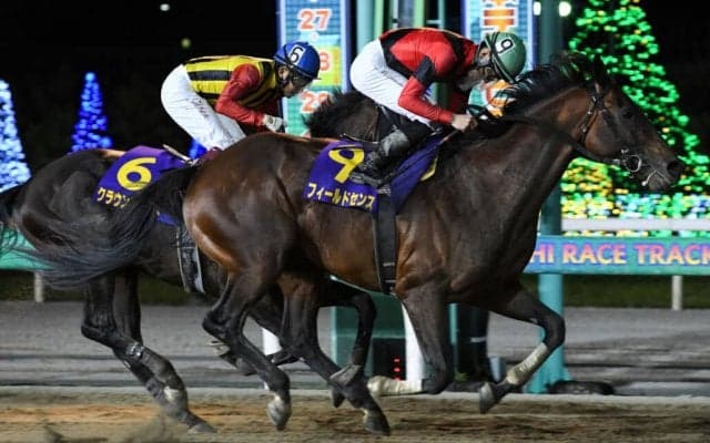 【日本テレビ盃】船橋所属 フィールドセンスが豪快に差し切る