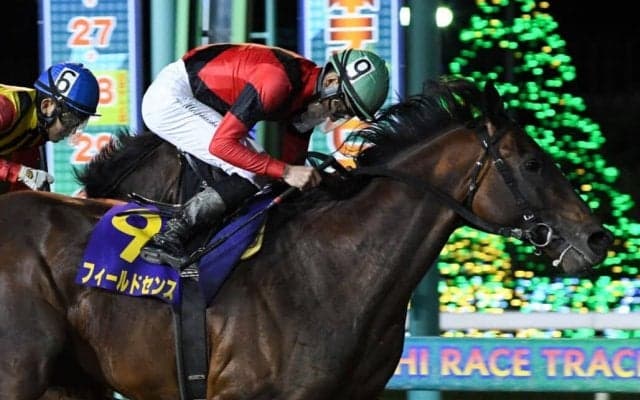 【日本テレビ盃】本橋「凄い出来」8歳馬フィールドセンスが差し切る