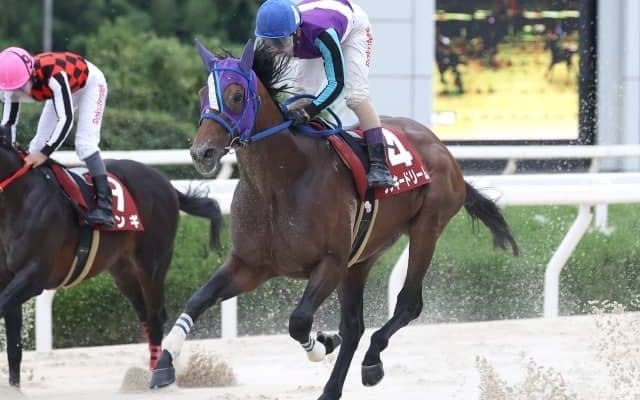 【園田・姫山菊花賞結果】ラッキードリームが大外強襲を決めてV ジンギは3着