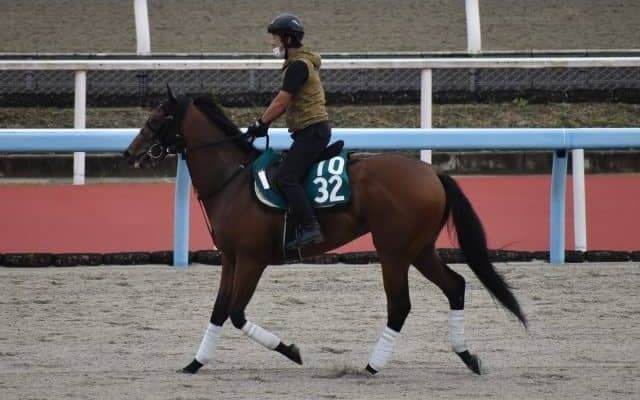 【JRA新馬戦】ダノンザキッドの半弟ダノンタッチダウンなどがデビュー