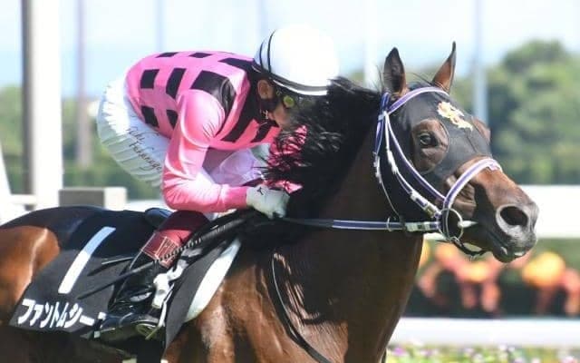 【次走】ファントムシーフは京都2歳SとホープフルSの両にらみ