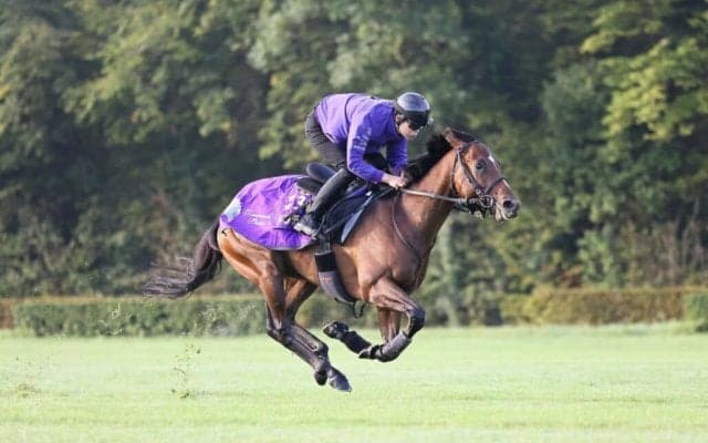 【武豊騎手】勝ちたい