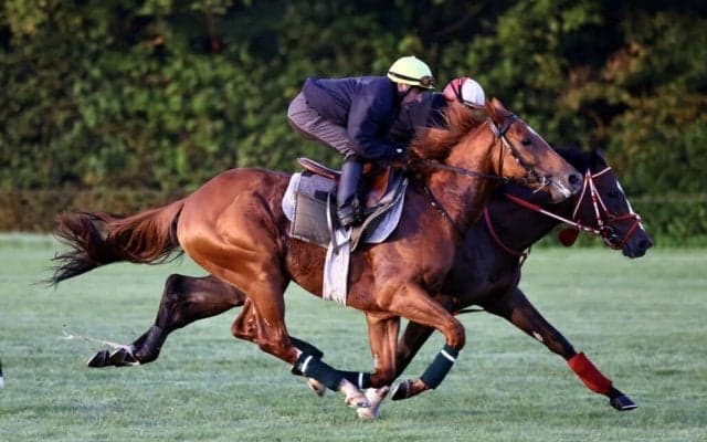 【凱旋門賞】出馬表確定と陣営のコメント