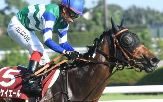 【スプリンターズS枠順確定】メイケイエールは7枠13番、ナムラクレアは5枠9番