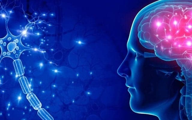 「ニューロフィードバック」機械がアスリートを育成する仕組みとは