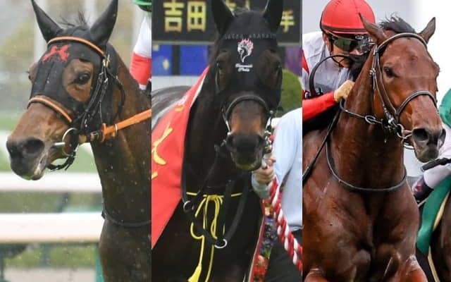 10頭の登録馬のうち4頭がGI馬、8頭が重賞馬 毎日王冠(GII)の出走想定馬一覧