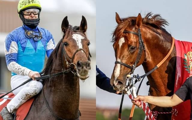 注目の長距離逃げ馬が1年ぶりに復帰、GI2勝馬の全弟や神戸新聞杯覇者の半兄も登場/京都大賞典出走想定馬13頭