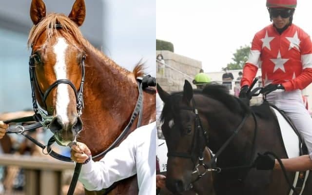 10年前の朝日杯FSで1着争いをした2頭の甥同士が対決を予定 サウジアラビアRC出走想定馬9頭