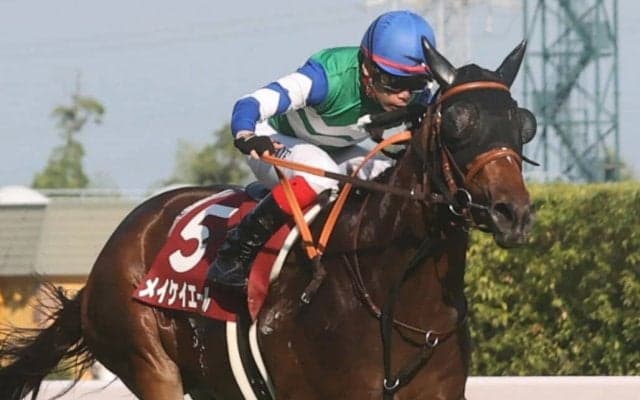 【スプリンターズS】メイケイエールは7枠13番