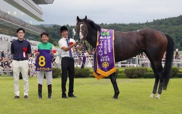 【シリウスS予想】過去のデータにとらわれず組み立てたい 下半期のダート戦線占うハンデ重賞