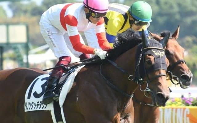 【中京5R新馬戦結果】ダノンザキッドの半弟ダノンタッチダウンが新馬勝ち