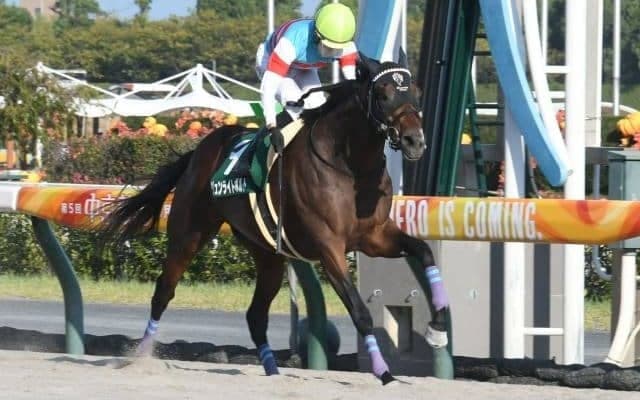【シリウスS結果】ジュンライトボルトがリステッドから連勝 友道厩舎はダート重賞初V