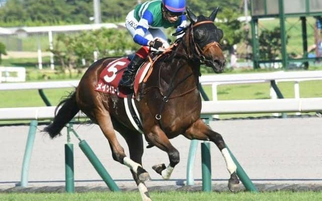 【スプリンターズS前日オッズ】メイケイエールが2.3倍で1番人気