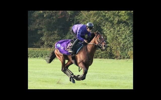 凱旋門賞にまったく違うアプローチで挑む日本馬４頭。悲願の勝利に向け、各陣営が自信を覗かせる「戦略」とは