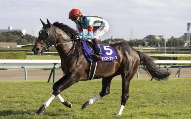 【スプリンターズS予想】1番人気馬の奇数番は凡走フラグか？ 3着には人気薄固定で攻めていけ？