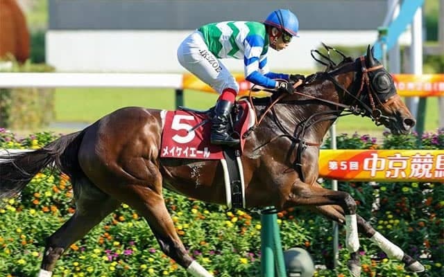 【スプリンターズS・馬体重】メイケイエールは482kg(-2)、ナムラクレアは466kg(-4)