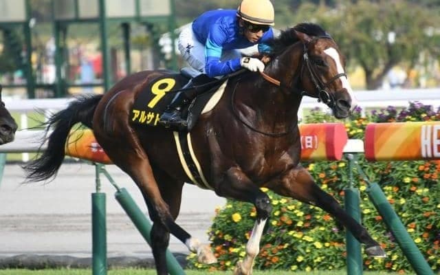 【ポートアイランドS結果】アルサトワが逃げ切ってリステッド2勝目