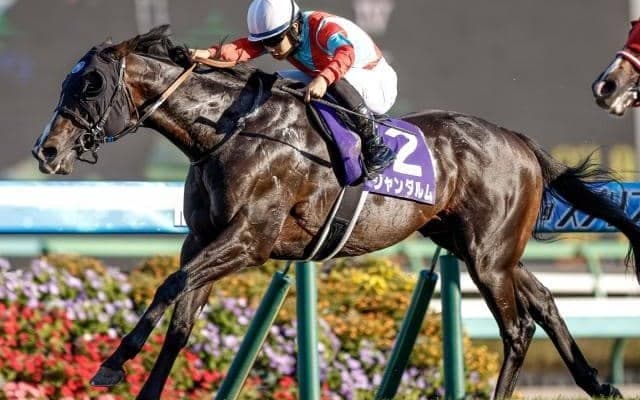 【スプリンターズS】ジャンダルムが母ビリーヴと親子制覇！メイケイエールは14着に敗れる
