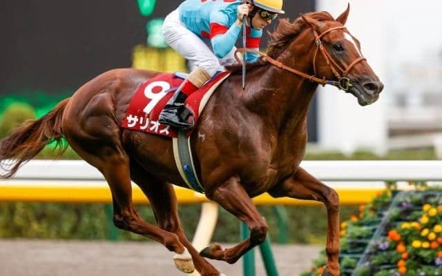 【毎日王冠】ポタジェ、サリオスらが登録