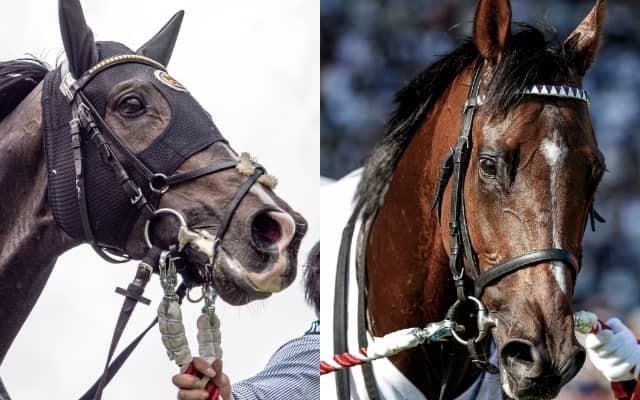 凱旋門賞の国内外オッズを比較 タイトルホルダーは日本では1番人気、海外では7番人気