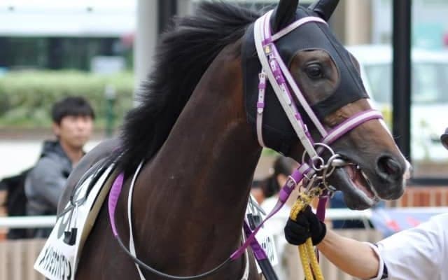 10月2日の競走中止、出走取消、疾病の一覧 メイショウナパワン落馬など/中山・中京