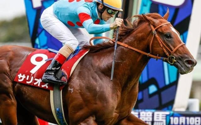 JRAは3日間開催で毎日王冠など3重賞 地方ダートグレードも目白押し/今週の競馬界の見どころ